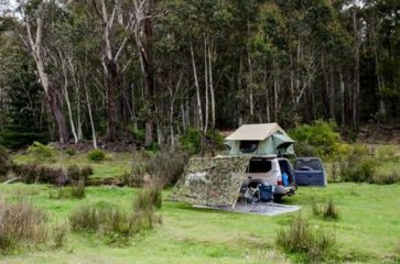 Australia (Bago State Forest)